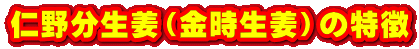 m앪IiIj̓